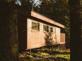 A wooden elevated cabin in a forest with three windows at Glentress The Unfurl Treehouse in Glentress Forest Peebles