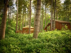 A wooded area with two wooden cabins and tall trees at Blackwood Forest Golden Oak Treehouse in Blackwood Forest