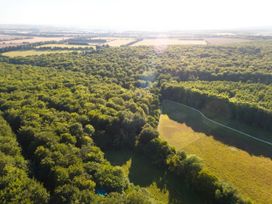 An aerial view of a large forest with adjacent open fields and a walking path at Blackwood Forest Golden Oak Treehouse in Blackwood Forest