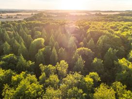 An aerial view of a forest with dense green trees and fields in the distance at Blackwood Forest Golden Oak Treehouse in Blackwood Forest