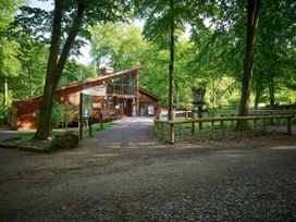 A wooden building surrounded by trees and gravel pathway at Blackwood Forest Golden Oak Treehouse in Blackwood Forest
