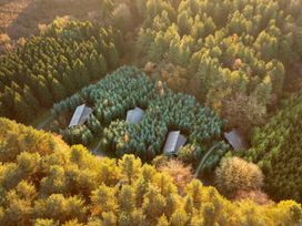 An aerial view of small houses surrounded by dense forest at Delamere Forest Golden Oak Treehouse in Delamere Forest
