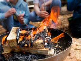 Children roasting marshmallows on sticks over a fire pit outdoors at Sherwood Forest Golden Oak in Sherwood Forest