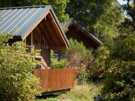 Two wooden cabins with metal roofs surrounded by trees and bushes at Deerpark Classic Golden Oak in Deerpark Forest