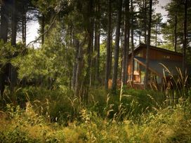 A wooden cabin with large windows among tall pine trees and grassy vegetation at Blackwood Forest Golden Oak in Blackwood Forest