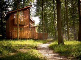 A wooden cabin with a fenced balcony in a forest with a gravel path at Sherwood Forest Golden Oak in Sherwood Forest