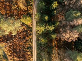 An aerial view of a dirt path running through a forest with green and brown trees at Delamere Forest Golden Oak in Delamere Forest