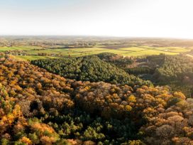An aerial view of a forest with trees showing autumn colors and fields beyond the forest at Delamere Forest Golden Oak in Delamere Forest