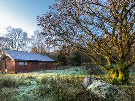 A wooden cabin in a grassy field with a moss-covered tree and rocks at Beddgelert Golden Oak Hideaway Beddgelert Eryri Snowdonia