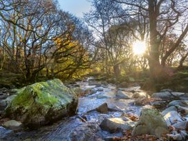 A flowing stream with rocks and trees with sunlight shining through at Beddgelert Golden Oak Hideaway Beddgelert Eryri Snowdonia