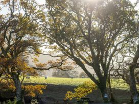A field with sheep in the distance behind trees and picnic tables at Beddgelert Golden Oak Hideaway Beddgelert Eryri Snowdonia