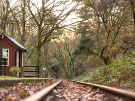 Railway track covered with leaves next to a small building and trees in a forest