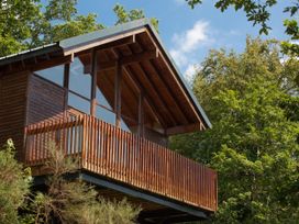 A wooden cabin with large glass windows and a balcony surrounded by trees at Deerpark Classic Silver Birch in Deerpark Forest