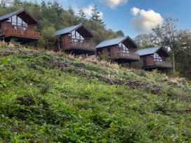 Four raised wooden cabins on a hillside with greenery and trees at Deerpark Classic Silver Birch in Deerpark Forest