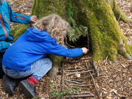 Children building a small stick ladder and exploring a moss-covered tree base in a forest