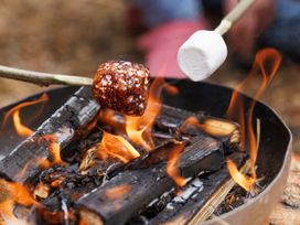 Two marshmallows being roasted over a campfire with burning logs in a fire pit at Garwnant Silver Birch wheelchair accessible cabin Garwnant Bannau Brycheiniog Brecon Beacons