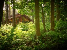 A wooden cabin surrounded by trees and ferns in a forest at Forest of Dean Golden Oak Hideaway in Forest Of Dean