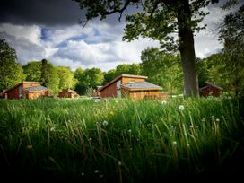 Wooden cabins surrounded by grass and trees under a cloudy sky at Forest of Dean Meadow - Silver Birch wheelchair accessible cabin in Forest Of Dean