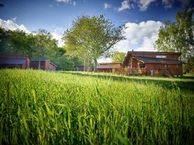 A grassy field with trees and wooden houses under a blue sky at Forest of Dean Meadow - Golden Oak in Forest Of Dean