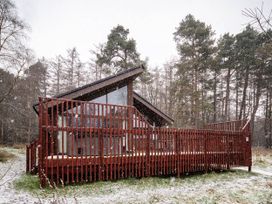 A wooden cabin with a large fenced deck surrounded by trees in snowfall at Cropton Silver Birch Compact in Cropton Forest