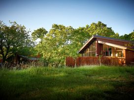 A wooden cabin surrounded by trees and grass under a clear sky at Beddgelert Silver Birch - freshly inspired design wheelchair accessible cabin in Beddgelert Eryri Snowdonia