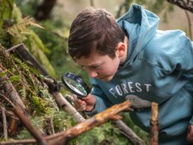 A boy wearing a blue hoodie looking through a magnifying glass at plants and branches in a forest
