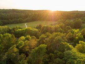 A forest with a grassy clearing and a winding path during sunset at Keldy Golden Oak Cottage in Keldy Forest