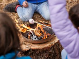 Children roasting a marshmallow over a fire in a metal pan on a tree stump outdoors