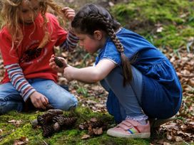 Two children outdoors examining pine cones and sitting on mossy ground in a forest