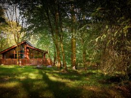 A wooden cabin surrounded by trees and grass in a forest at Beddgelert Golden Oak - freshly inspired design Beddgelert Eryri Snowdonia
