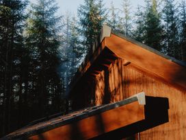The roof of a wooden cabin surrounded by tall pine trees at Glentress The Unfurl Cabin (2 Bed) Glentress Forest Peebles