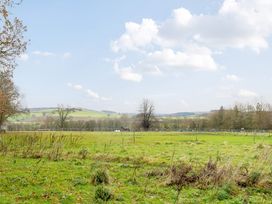 Swallow - Lake District - 1147462 - thumbnail photo 19