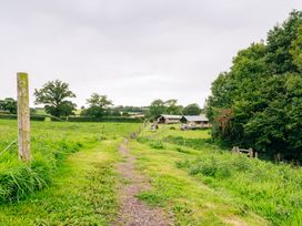 Beech - Devon - 1147768 - thumbnail photo 24