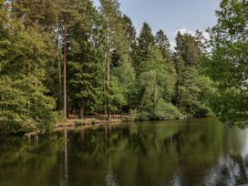 A forest with tall trees reflected in a calm lake at Anvil Cottage in Gatcombe near Blakeney
