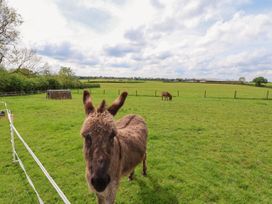 Holmside - Shropshire - 1148374 - thumbnail photo 37