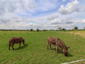 Holmside - Shropshire - 1148374 - thumbnail photo 38