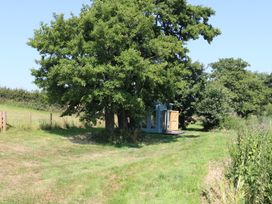 A shed and trees in a grassy area at Holmside near Audley Brow near Market Drayton
