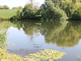 A pond with lily pads and trees at Holmside Audley Brow near Market Drayton