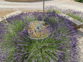 A garden with lavender surrounding a water feature at The Little Loft in Burford