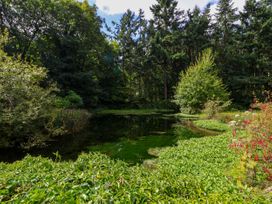 A pond surrounded by dense trees and green plants at New Hall in Chirk