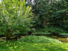 A garden area with grass shrubs trees and a small stream at New Hall in Chirk