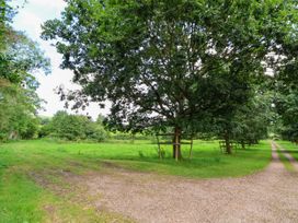 A gravel path splitting into two surrounded by grass and trees with wooden supports at New Hall in Chirk