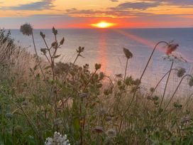 The Artist's Cabin By The Sea - Kent & Sussex - 1149042 - thumbnail photo 18