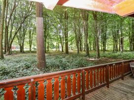 Bamboo Retreat - Lincolnshire - 1149120 - thumbnail photo 3