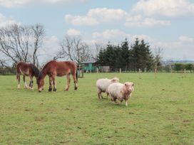 Harri's Hut - Somerset & Wiltshire - 1149622 - thumbnail photo 15