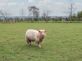 Harri's Hut - Somerset & Wiltshire - 1149622 - thumbnail photo 16