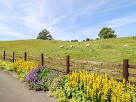 A pasture with sheep grazing near a wooden fence at Bryn Bras Corwen