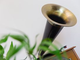 A phonograph with horn and plant at Whitewater Seaview in Newquay