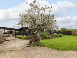 A garden with a blooming tree and a dark wood house with a patio at The Lodge at Wildersley Farm in Belper