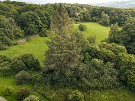 Green Yew - Lake District - 1151089 - thumbnail photo 64